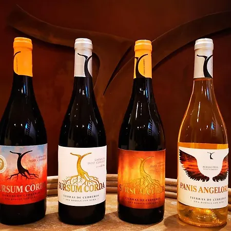 Tierras De Szálloda Cebreros