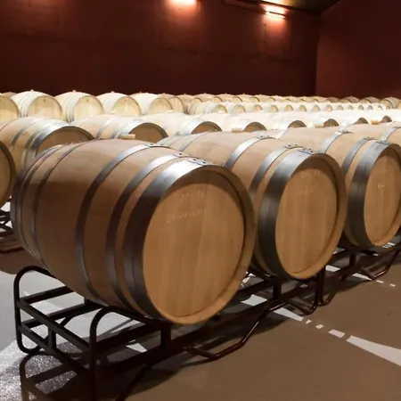 Hotel Tierras De Cebreros