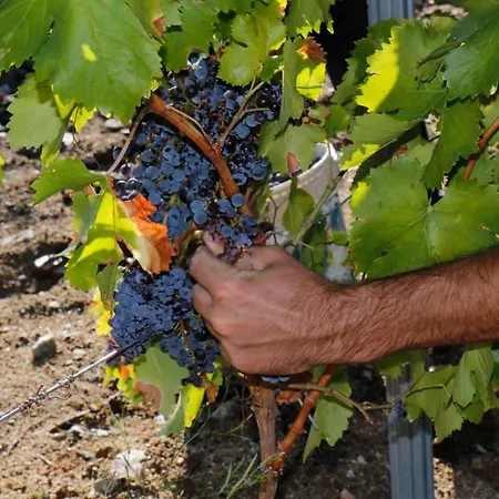 Szálloda Tierras De *