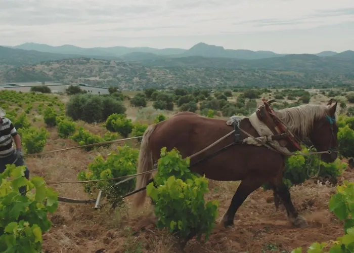 ホテル Rural Tierras De セブレロス