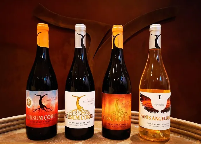 Rural Tierras De ホテル セブレロス