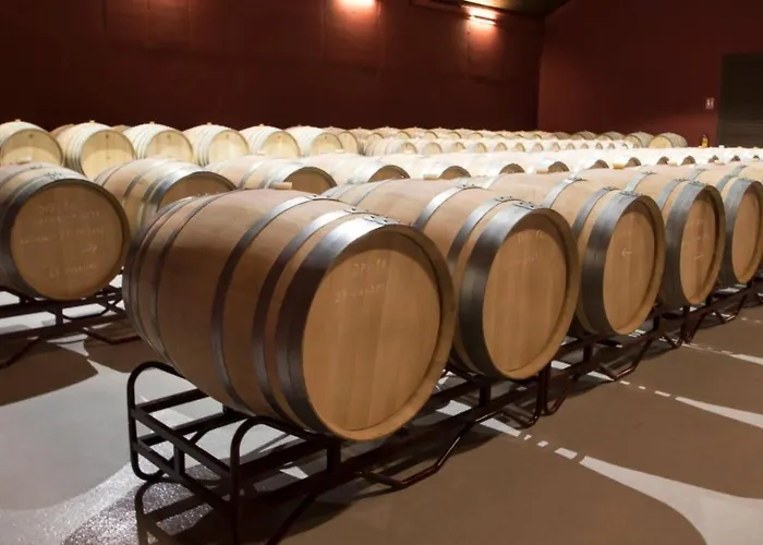 Hotel Tierras De Cebreros